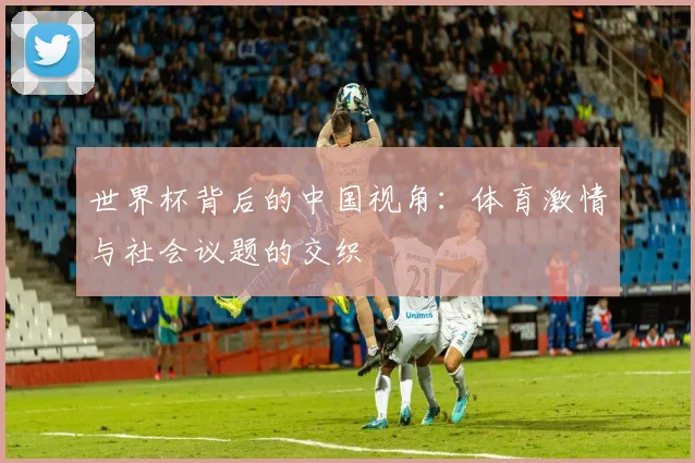 世界杯背后的中国视角：体育激情与社会议题的交织