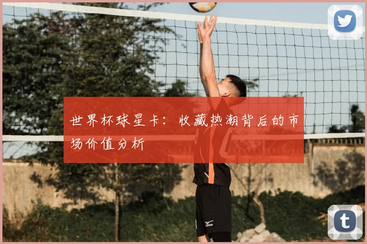 世界杯球星卡：收藏热潮背后的市场价值分析