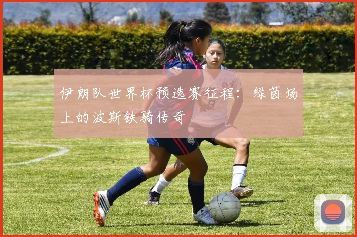 伊朗队世界杯预选赛征程：绿茵场上的波斯铁骑传奇